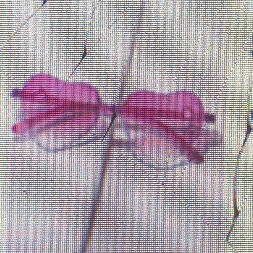 Pink heart shaped shades